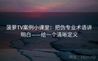 菠萝TV案例小课堂：把伪专业术语讲明白——给一个清晰定义