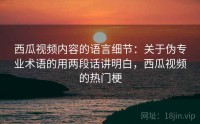 西瓜视频内容的语言细节：关于伪专业术语的用两段话讲明白，西瓜视频的热门梗