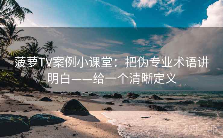 菠萝TV案例小课堂：把伪专业术语讲明白——给一个清晰定义